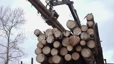 起重机臂从锯木厂的卡车上捡起木头