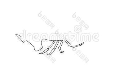 孤立对象连续一线绘制的自绘动画.. 龙虾