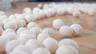 鸡蛋的分拣过程.. 家禽工人分拣白鸡蛋。 4K.