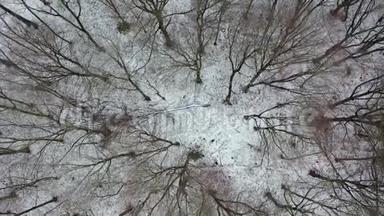 从空中俯瞰冬天的森林和<strong>林间</strong>空地