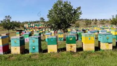 蜜<strong>蜂</strong>在日记里。 在草地上有很多蜜<strong>蜂</strong>房子，<strong>蜂</strong>巢是。 <strong>农</strong>场的<strong>蜂</strong>蜜生产。 蜜<strong>蜂</strong>成群地在旁边