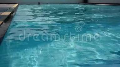 泰国胖子在体育俱乐部的游泳池里游泳和玩水