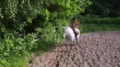 夏天，户外，骑童，骑骑师骑着纯种的美丽的白种马，马，在训练沙场