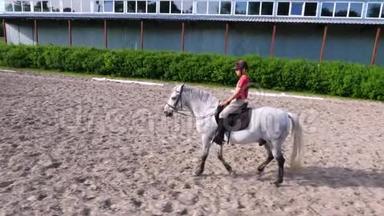 夏天，户外，骑童，骑骑师骑着纯种的美丽的白种马，马，在训练沙场