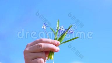 春花西拉儿牵着手.. 美丽的蓝色花朵在婴儿手上的蓝天背景。