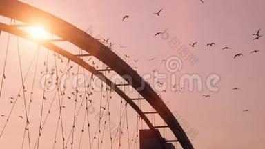 鸟群慢动作美丽浪漫背景<strong>夕阳红</strong>桥