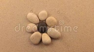 旋转的石头形状的花躺在沙子上。 概念。