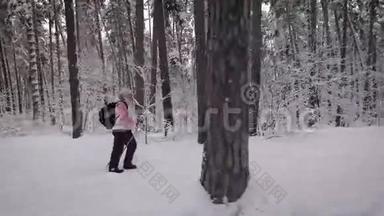在森林中行走的带背包的北欧妇女的侧视图。退休女士拿着滑雪杆快步走