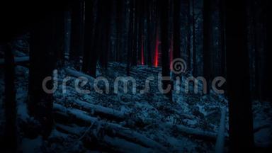 夜晚，红火焰照亮白雪森林