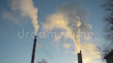 来自工厂烟囱的烟雾垂直向上上升，蓝天，能源和空气污染，无风天气。