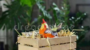 旋转，节日的复活节构图在光线下，在一个木箱里，在一根稻草里，有一只小母鸡，<strong>接下来</strong>