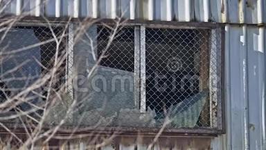 玻璃废弃窗户仓库厂房破损.. 户外活动监视打破窗户