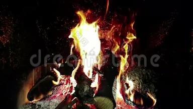 真正的火苗燃烧着树枝，壁炉在缓慢的运动中燃烧着