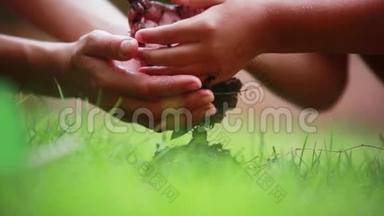 在模糊`绿色背景下，女人和孩子的双手把土地上的有机土壤放在一起