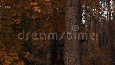 一个头戴帽衫的女孩，头发从树林深处松了出来，停在一棵树上，靠在秋叶上