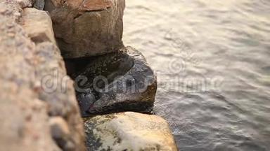岩石上的一只<strong>小螃蟹</strong>.. 水的质地