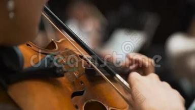 女子小提琴演奏古典音乐会。 交响乐团音乐家