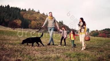 一<strong>个</strong>年轻的家庭，有<strong>两个小孩子</strong>和一只狗在秋天的大自然散步。