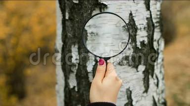 一个拿着放大镜探索树的女人
