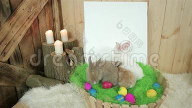 小<strong>可爱</strong>的五颜六色的兔子在木篮里玩，墙上有白纸，有<strong>画画</strong>的空间