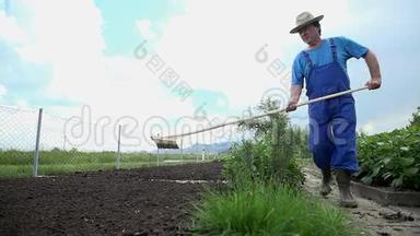 用<strong>耙子</strong>均匀地分布在犁过的花园土壤周围