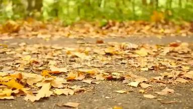 公园的小径，桦树，水蛭和枫树的叶子在地上。 <strong>跑鞋</strong>在后台跑.. 慢速滑块控制摄像机
