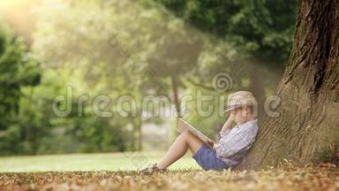 一个男孩坐在阳光照耀下的树下看书