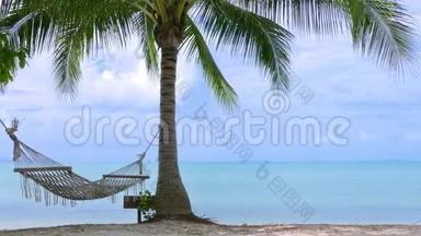海滩上有吊床的棕榈树