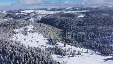 冬季空中4k无人驾驶飞机观雪覆盖杉树，森林在山上