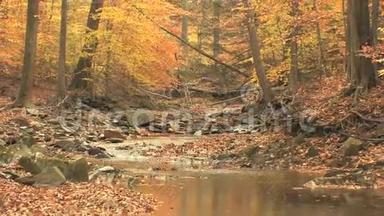 蜿蜒的小溪穿过秋天的树林