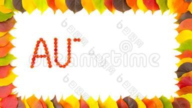 秋天。 罗兰伯里。 色彩斑斓的秋叶的边框.. 4K动画