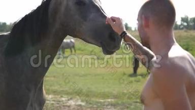 带着塔图的年轻人在户外<strong>抚摸</strong>马。 他在田里<strong>抚摸</strong>一匹马，<strong>抚摸</strong>那匹种马。 爱情
