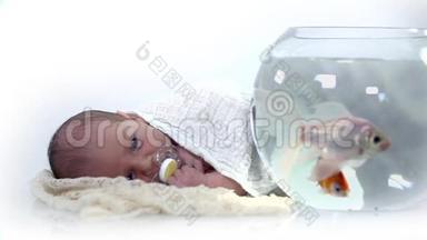 小宝宝观察鱼缸里的鱼