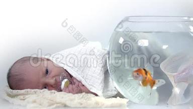 婴儿看着在水族馆里缓慢游动的鱼