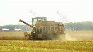 大联合收割机收割俄罗斯的小麦作物。 联合收割机收割小麦.