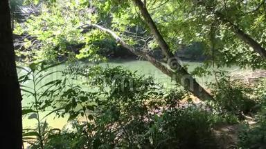 乔治亚州<strong>梅洛</strong>克<strong>洛</strong>克桥，通过树木放大看到绿色的查塔霍切河