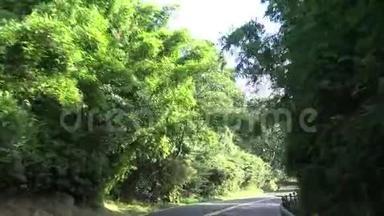 4K驾驶在山路通过森林与转弯在亚洲.