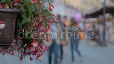 红色的装饰花装饰着咖啡馆。城市街道的美化和装饰。温暖的夏日。