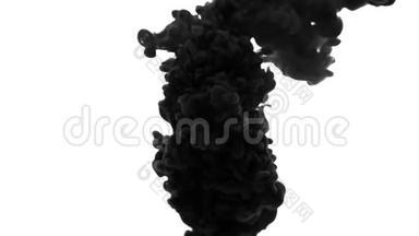 油墨烟雾过渡-类似于油墨或烟雾的过渡动画。 黑色和白色的烟雾