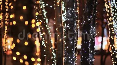 圣诞节。 在<strong>夜晚</strong>的城市<strong>街道</strong>上，一丛丛丛的树木在节日的发光照明中。 特写镜头。 新年主题。