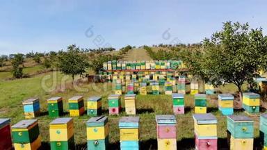 蜜蜂在日记里。 在草地上有很多蜜蜂房子，蜂巢是。 农场的蜂蜜生产。 蜜蜂成群地在旁边