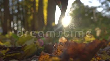 在阳光明媚的秋天森林里，模糊的女孩在落叶上奔跑。 阳光灿烂。 超级慢动作背景射击