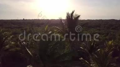 空中无人机射击。 镜头缓缓飞过椰掌.. 加勒比海沿岸美丽的日落