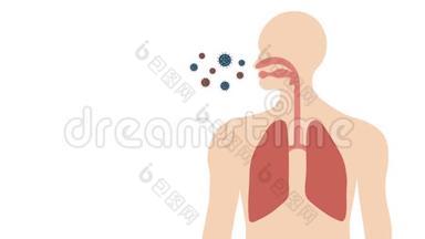 <strong>呼吸系统</strong>和肺中人电晕病毒或Covid-19
