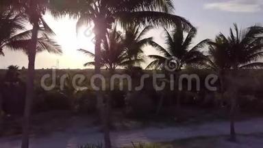 空中无人机射击。 镜头缓缓飞过椰掌.. 加勒比海沿岸美丽的日落
