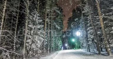 CINE MAGRAPH，美丽<strong>的夜晚森林</strong>景观与雪，视频循环