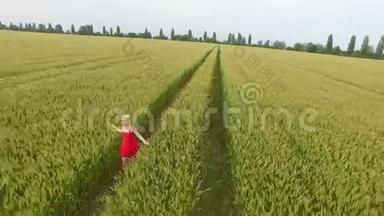 金发女人穿着红色连衣裙，带着麦子跑在田野里。