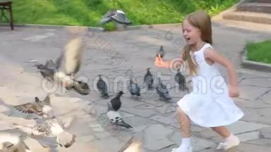 快乐的小女孩在鸽子中间奔跑