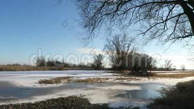 冬季草地上有洪水的<strong>哈维</strong>尔河景观。 德国勃兰登堡<strong>哈维</strong>尔兰背景的柳树