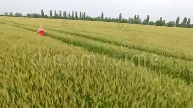 金发女人穿着红色连衣裙，带着<strong>麦子</strong>跑在田野里。